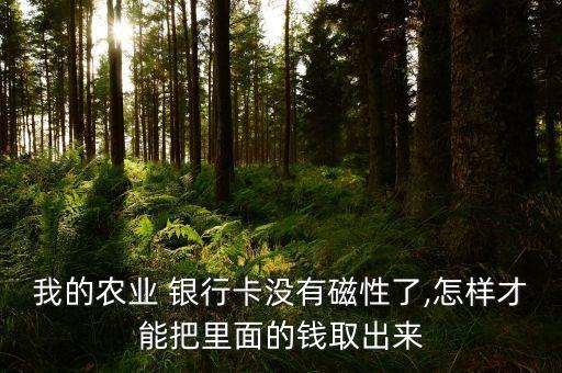 農(nóng)行卡銀行卡消磁,農(nóng)行銀行卡只收不付凍結怎么解決
