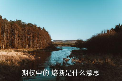 股票熔斷機(jī)制是好是壞,中國(guó)股票熔斷機(jī)制為什么取消