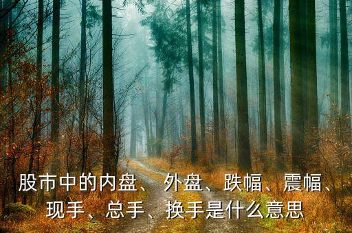 股市中的內(nèi)盤、 外盤、跌幅、震幅、現(xiàn)手、總手、換手是什么意思