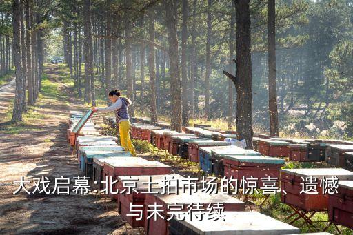 大戲啟幕:北京土拍市場的驚喜、遺憾與未完待續(xù)