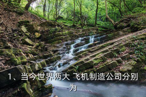 1、當(dāng)今世界兩大 飛機(jī)制造公司分別為