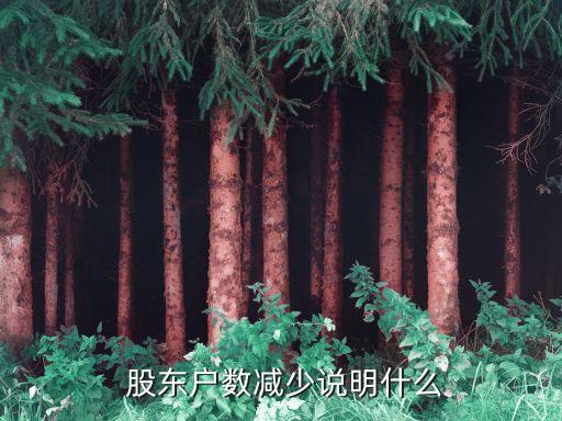  股東戶(hù)數(shù)減少說(shuō)明什么