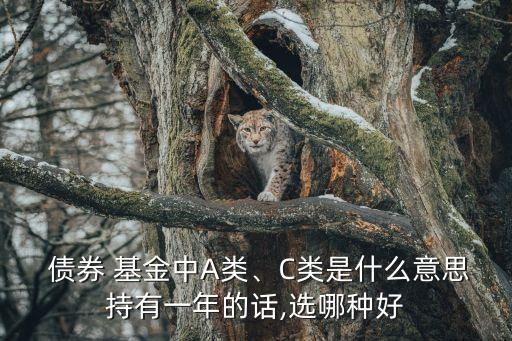  債券 基金中A類、C類是什么意思持有一年的話,選哪種好
