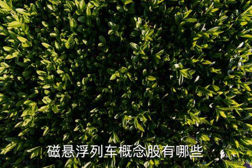 磁懸浮列車(chē)概念股有哪些