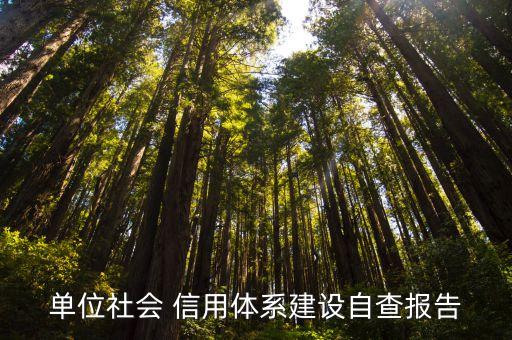 單位社會 信用體系建設自查報告
