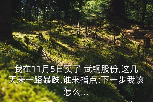 武鋼國(guó)際資源開發(fā)投資公司