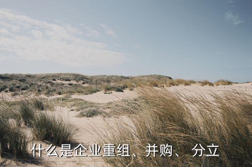 什么是企業(yè)重組、并購、 分立