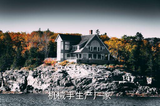 機(jī)械手生產(chǎn)廠(chǎng)家