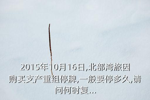 2015年10月16日,北部灣旅因購買支產(chǎn)重組停牌,一般要停多久,請(qǐng)問何時(shí)復(fù)...