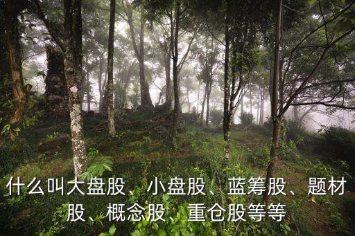 什么叫大盤股、小盤股、藍籌股、題材股、概念股、重倉股等等