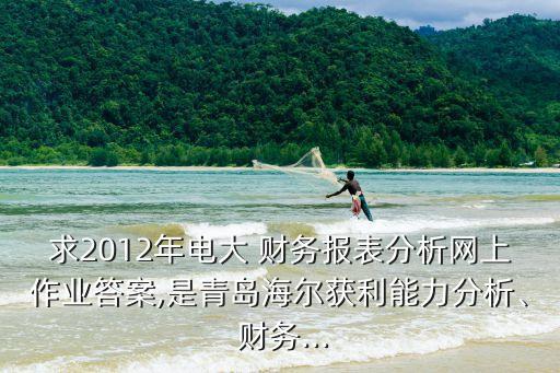 求2012年電大 財(cái)務(wù)報(bào)表分析網(wǎng)上作業(yè)答案,是青島海爾獲利能力分析、 財(cái)務(wù)...