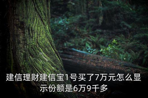 建信理財(cái)建信寶1號(hào)買了7萬元怎么顯示份額是6萬9千多