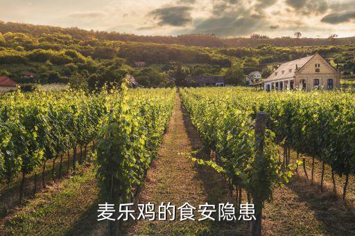 麥當(dāng)勞肯德基上海福喜,上?；疖囌居宣湲?dāng)勞或肯德基嗎