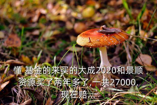 懂 基金的來買的大成2020和景順資源買了兩年多了,一共27000,現在賠...