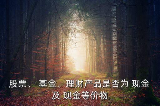 股票、 基金、理財產(chǎn)品是否為 現(xiàn)金及 現(xiàn)金等價物