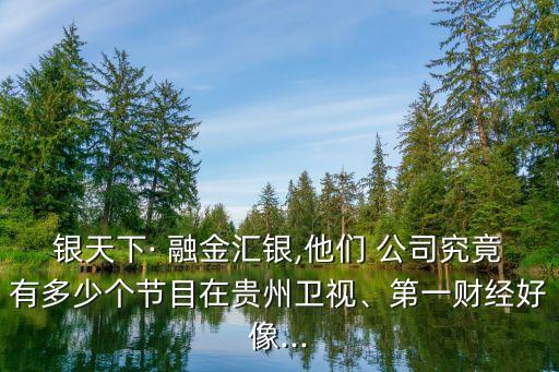 銀天下· 融金匯銀,他們 公司究竟有多少個節(jié)目在貴州衛(wèi)視、第一財經(jīng)好像...
