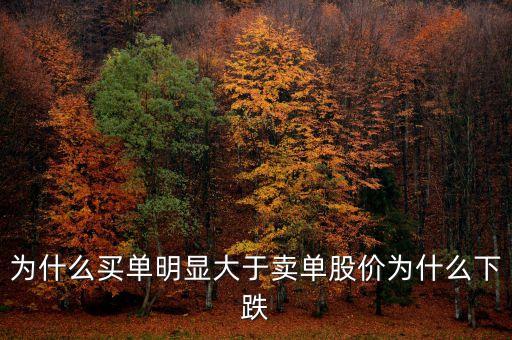 為什么買(mǎi)單明顯大于賣(mài)單股價(jià)為什么下跌