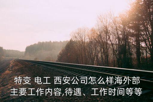  特變 電工 西安公司怎么樣海外部主要工作內(nèi)容,待遇、工作時(shí)間等等