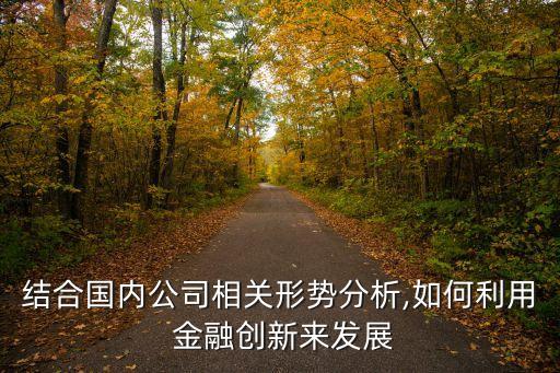 結(jié)合國(guó)內(nèi)公司相關(guān)形勢(shì)分析,如何利用 金融創(chuàng)新來(lái)發(fā)展
