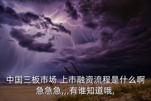 中國三板市場(chǎng) 上市融資流程是什么啊急急急,,,有誰知道哦,
