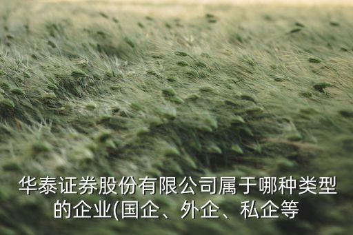 華泰證券股份有限公司屬于哪種類型的企業(yè)(國企、外企、私企等