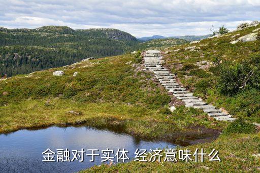 金融對于實體 經濟意味什么