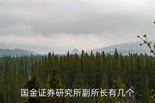 國金證券研究所副所長(zhǎng)有幾個(gè)