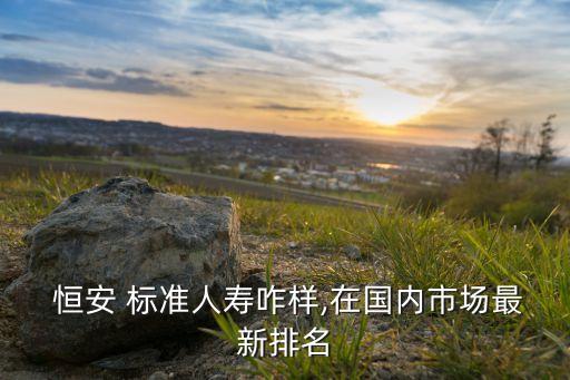  恒安 標(biāo)準(zhǔn)人壽咋樣,在國內(nèi)市場(chǎng)最新排名