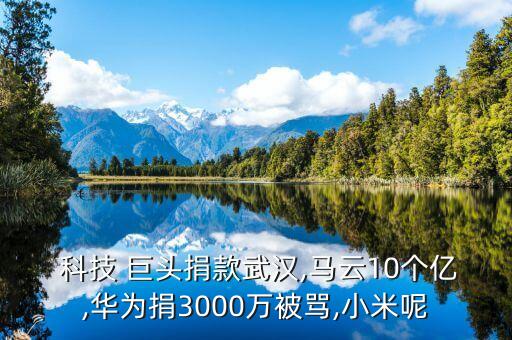  科技 巨頭捐款武漢,馬云10個(gè)億,華為捐3000萬(wàn)被罵,小米呢