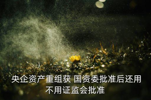  央企資產(chǎn)重組獲 國資委批準后還用不用證監(jiān)會批準