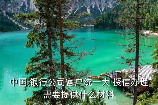 中國(guó) 銀行公司客戶(hù)統(tǒng)一大 授信辦理需要提供什么材料