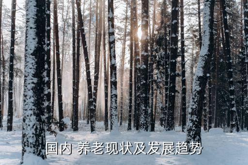 國內 養(yǎng)老現(xiàn)狀及發(fā)展趨勢