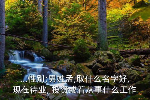 弘孟投資咨詢(xún)有限公司,深圳市銀河世紀(jì)投資咨詢(xún)有限公司