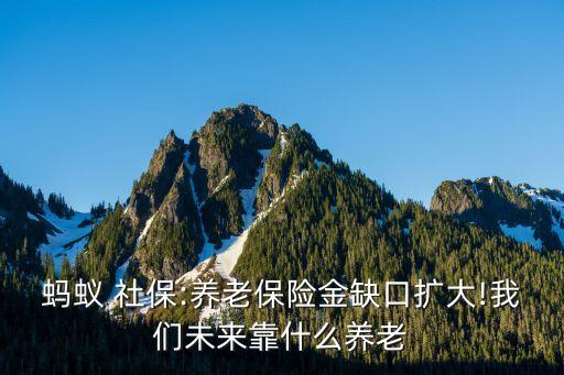 社?；痣p軌制