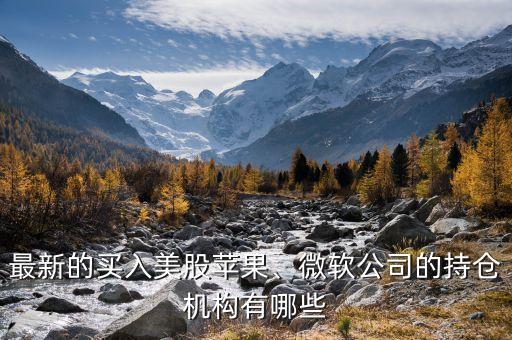 最新的買入美股蘋果、微軟公司的持倉(cāng)機(jī)構(gòu)有哪些