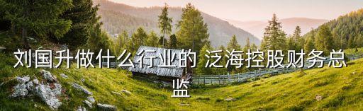 劉國升做什么行業(yè)的 泛?？毓韶?cái)務(wù)總監(jiān)