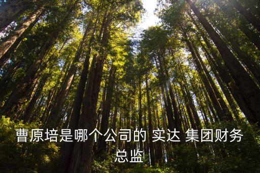曹原培是哪個公司的 實(shí)達(dá) 集團(tuán)財務(wù)總監(jiān)