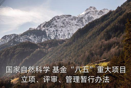 國家自然科學(xué) 基金“八五”重大項(xiàng)目立項(xiàng)、評審、管理暫行辦法