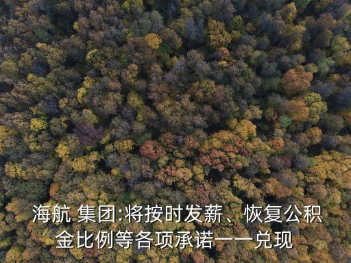  海航 集團(tuán):將按時(shí)發(fā)薪、恢復(fù)公積金比例等各項(xiàng)承諾一一兌現(xiàn)