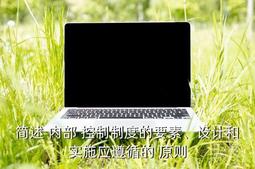 簡(jiǎn)述 內(nèi)部 控制制度的要素、設(shè)計(jì)和實(shí)施應(yīng)遵循的 原則