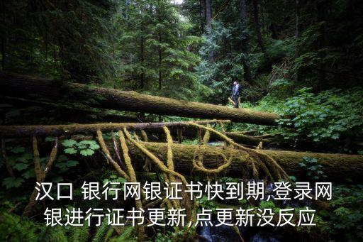  漢口 銀行網(wǎng)銀證書快到期,登錄網(wǎng)銀進(jìn)行證書更新,點(diǎn)更新沒(méi)反應(yīng)
