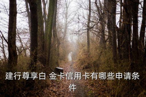 建設銀行白金卡要求