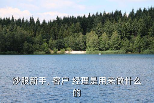 炒股新手, 客戶 經理是用來做什么的