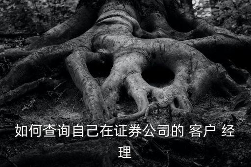 如何查詢自己在證券公司的 客戶 經理