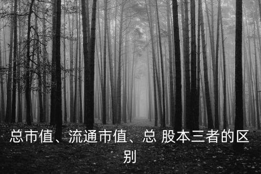 總市值、流通市值、總 股本三者的區(qū)別