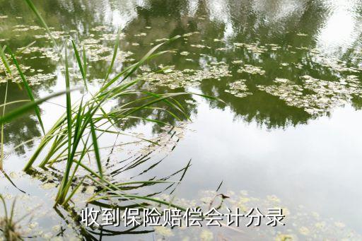  收到保險(xiǎn)賠償會計(jì)分錄