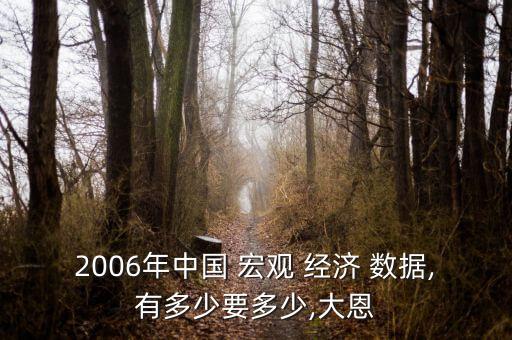 2006年中國 宏觀 經濟 數(shù)據(jù),有多少要多少,大恩