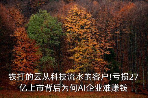 云天軟件股份有限公司,深圳云天勵飛技術股份有限公司