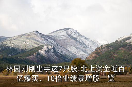 林園剛剛出手這7只股!北上資金近百億爆買、10倍業(yè)績暴增股一覽