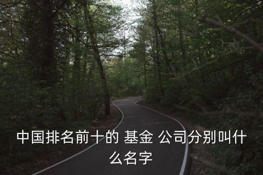 上海大的基金公司,上?；鸸九琶笆?/></a></span><span id=